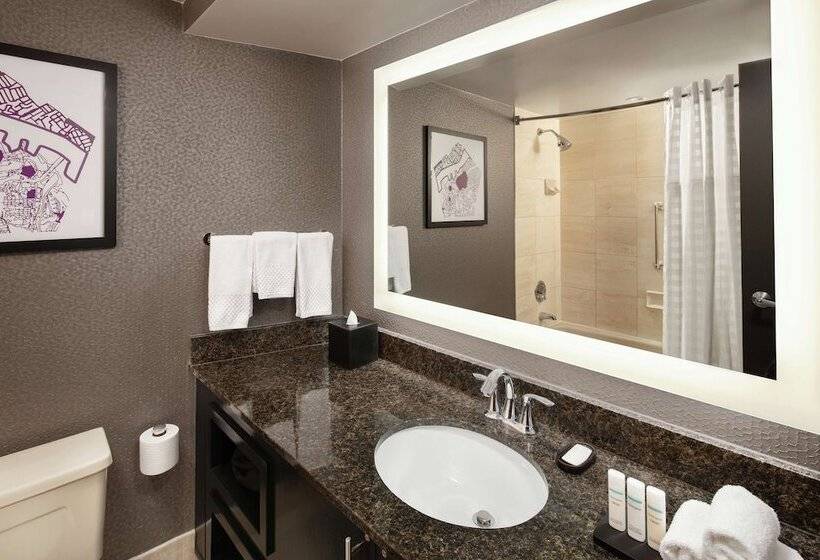 장애인을 위한 스위트, Embassy Suites By Hilton Crystal City National Airport