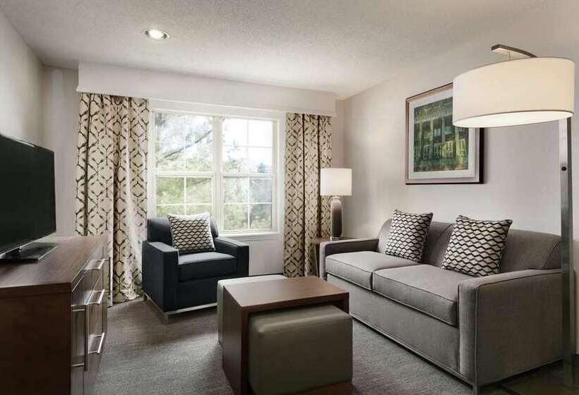 스탠다드 룸, Embassy Suites By Hilton Crystal City National Airport