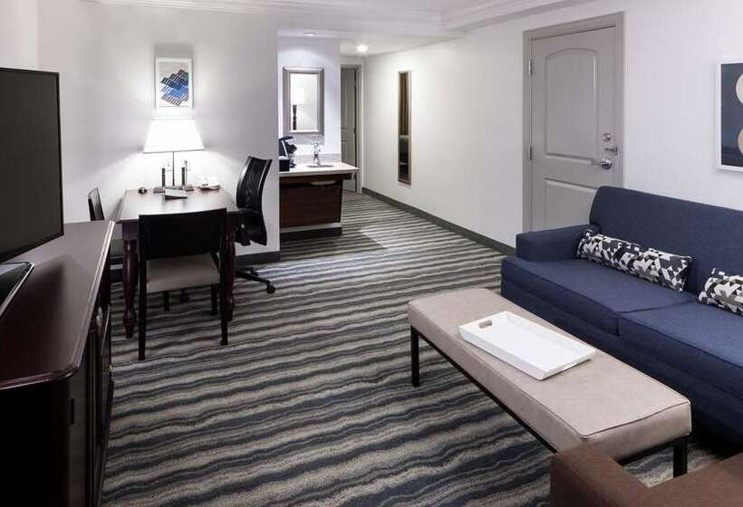 스탠다드 룸, Embassy Suites By Hilton Crystal City National Airport
