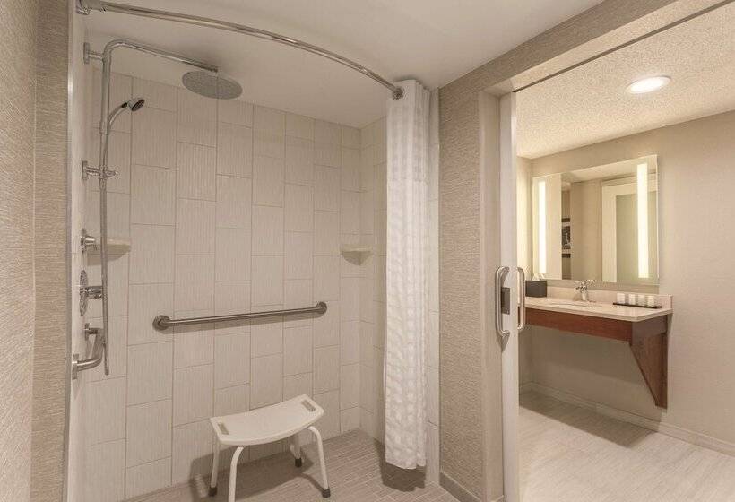 장애인을 위한 스위트, Embassy Suites By Hilton Orlando International Dr Icon Park