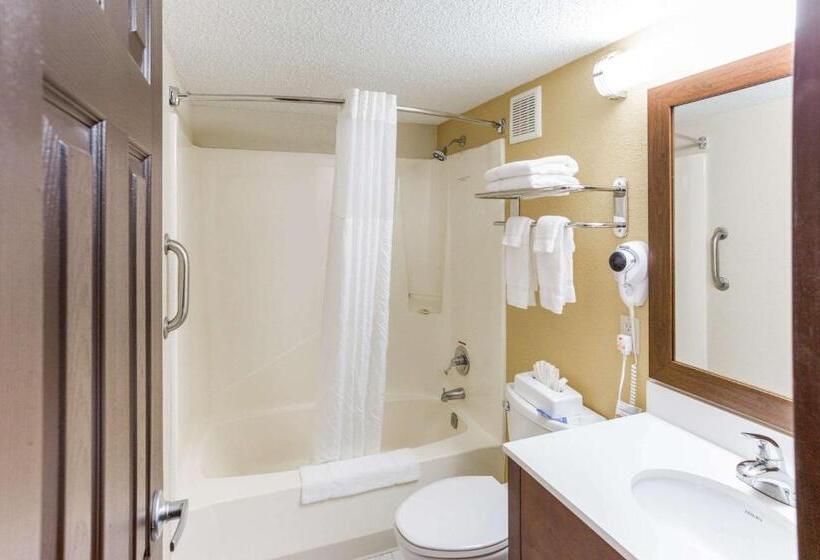 带2个双人床的标准工作室, Quality Inn & Suites