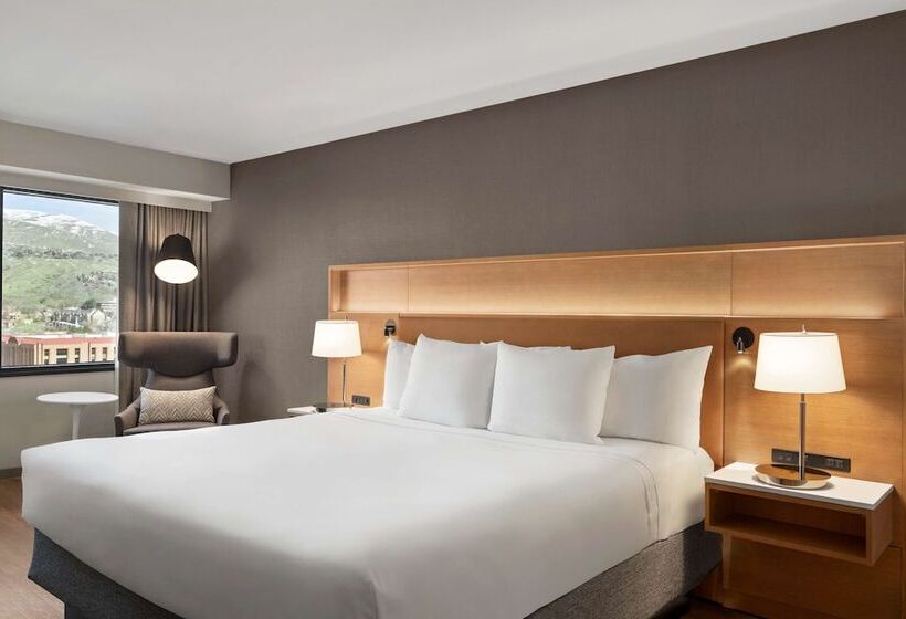 プレミアムルーム, Radisson Hotel Salt Lake City Downtown