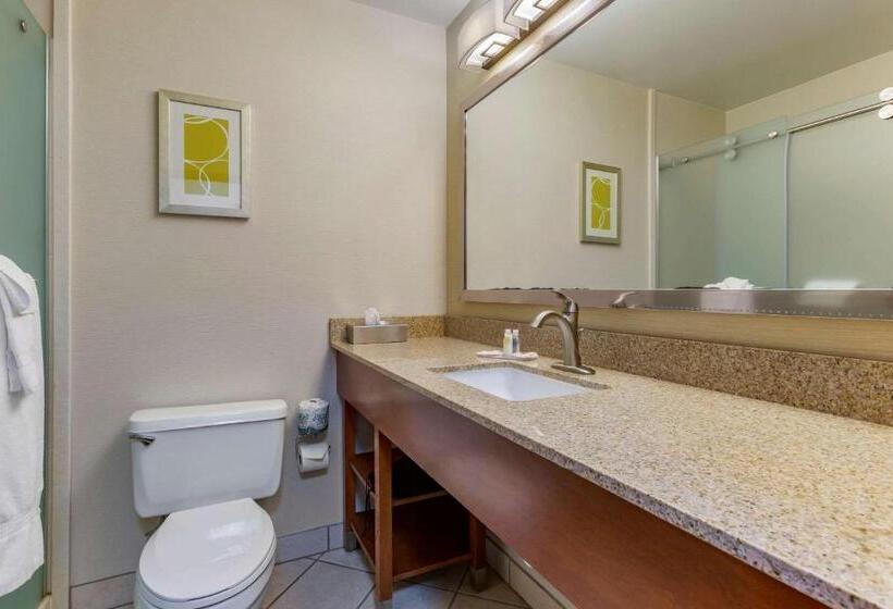 Номер Стандарт, Comfort Inn At Buffalo Bill Village Resort