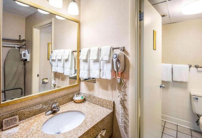 스탠다드 룸 킹사이즈 침대, Clarion Inn Grand Junction