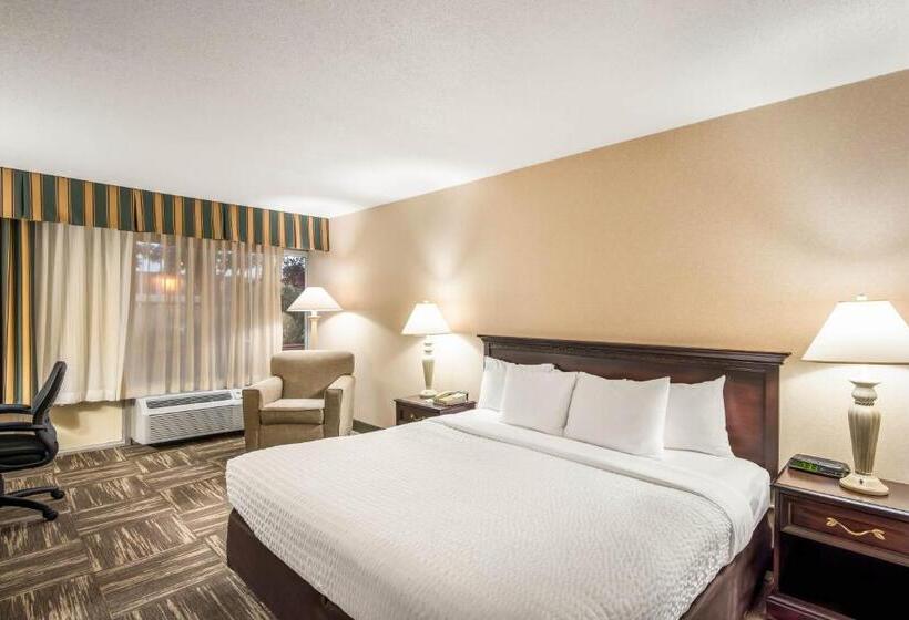 스탠다드 룸 킹사이즈 침대, Clarion Inn Grand Junction