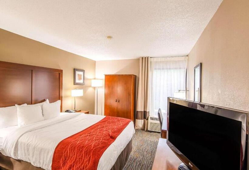 스탠다드 룸 킹사이즈 침대, Comfort Inn Greenville  Haywood Mall