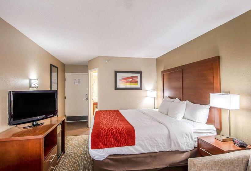 수피리어 룸, Comfort Inn Greenville  Haywood Mall