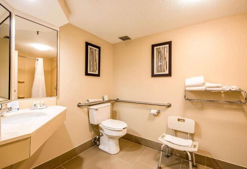 장애인을 위한 스탠다드 룸, Comfort Inn Greenville  Haywood Mall