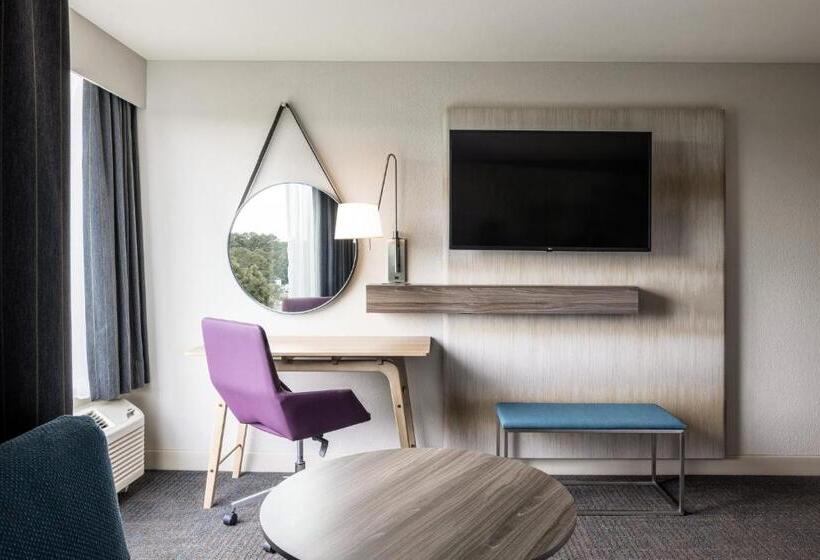 장애인을 위한 킹사이즈 침대 스탠다드 룸, Crowne Plaza Atlanta Ne   Norcross