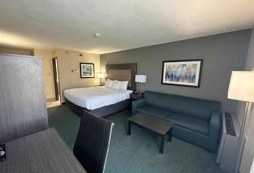 身障者適用キングサイズベッドルーム, Comfort Inn Dallas North Love Field Airport
