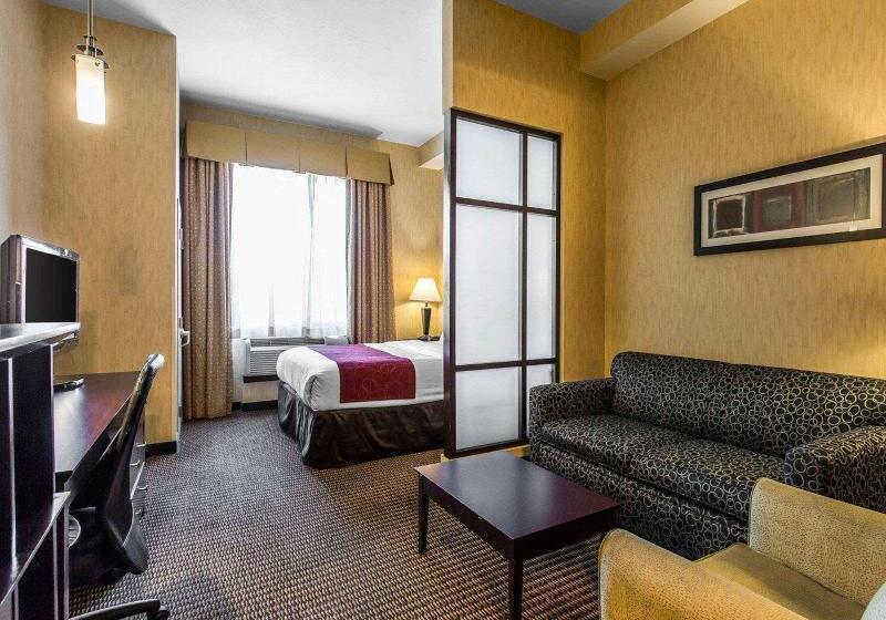 Номер Стандарт Кровать Кинг Адаптированный для Инвалидов, Doubletree By Hilton Holland