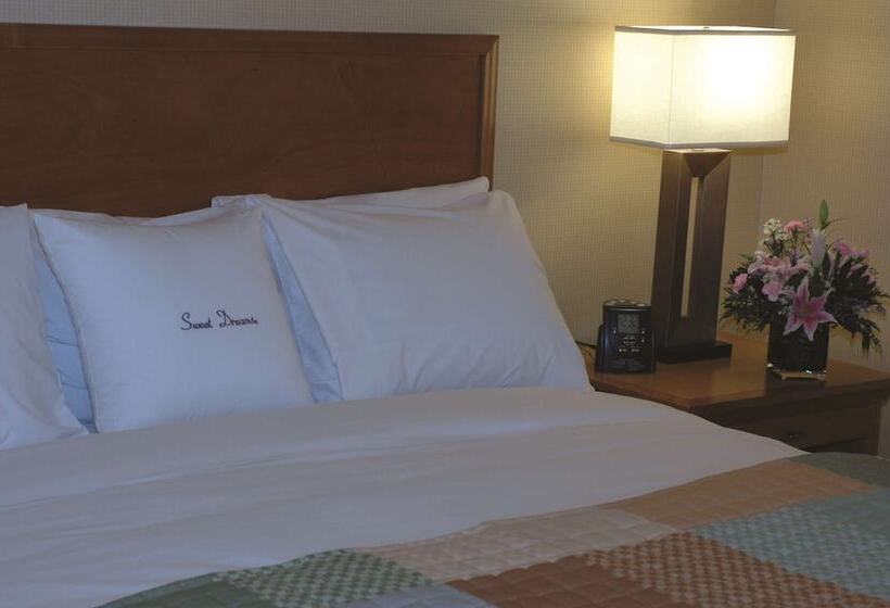 Номер Стандарт 2 Двуспальные Кровати, Wyndham Columbus