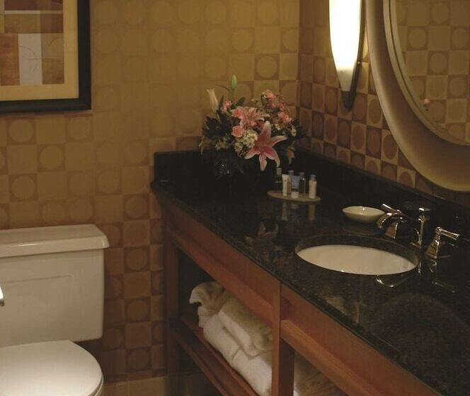 Standard-huone Parivuode, Wyndham Columbus