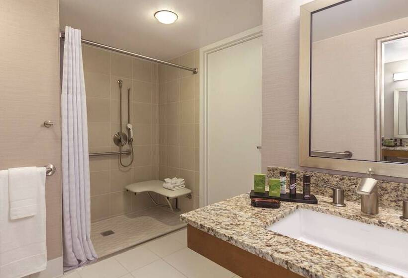 Люкс Адаптированный для Инвалидов, Embassy Suites By Hilton Anaheim Orange