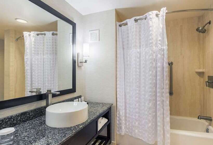 Люкс, Embassy Suites By Hilton Anaheim Orange