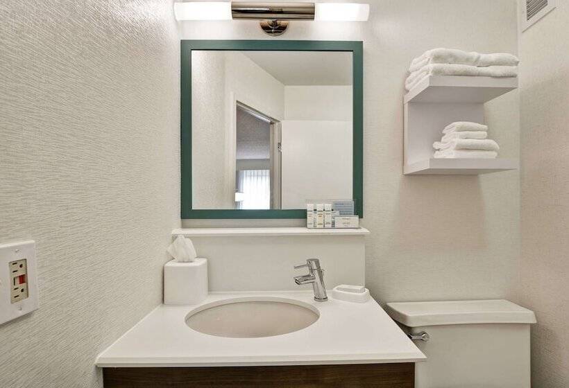 Номер Стандарт 2 Двуспальные Кровати, Hampton Inn Columbia I26 Airport
