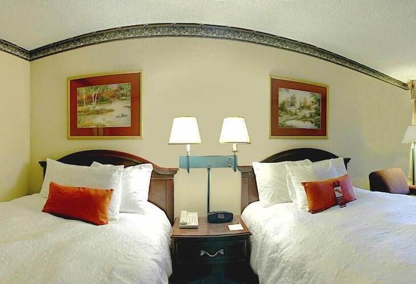 스탠다드 룸 더블 침대 2개, Hampton Inn Dalton