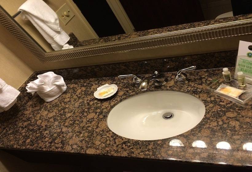 Номер Стандарт 2 Двуспальные Кровати, Holiday Inn Springdale Fayetteville Area, An Ihg