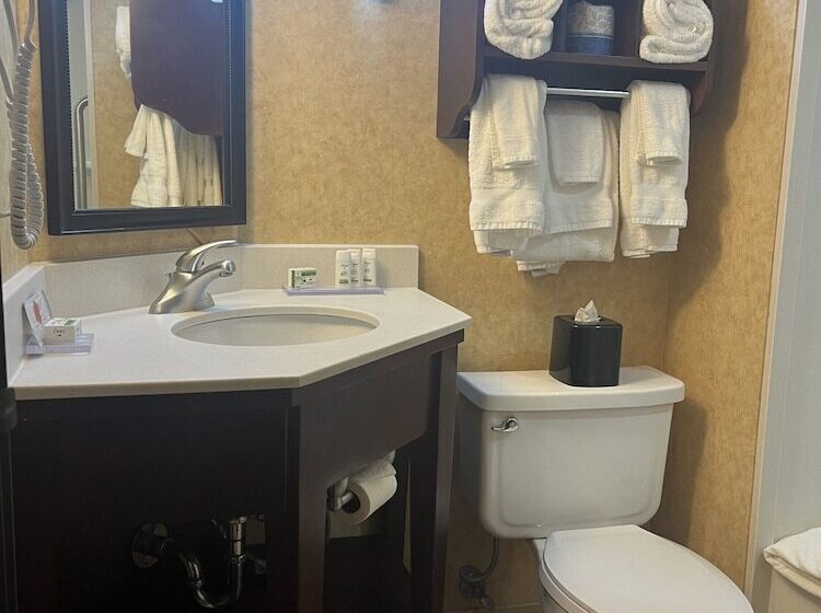 标准间, Spark By Hilton Colorado Springs I 25 Central