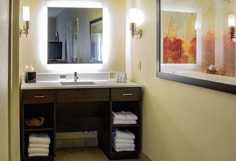 جناح سرير كينج, Embassy Suites Hotel Winston Salem