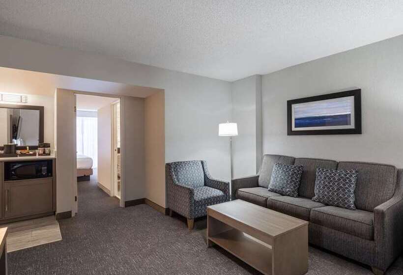 Люкс Кровать Кинг, Embassy Suites Hotel Winston Salem