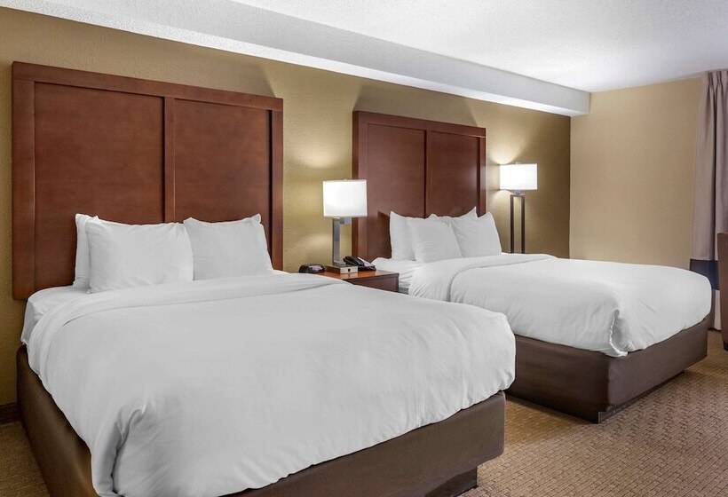 Номер Стандарт 2 Двуспальные Кровати, Comfort Inn & Suites Near Danville Mall