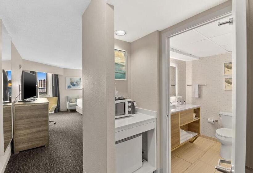 キングサイズベッドのスタンダードルーム, Crowne Plaza Houston Med Ctr Galleria Area, An Ihg