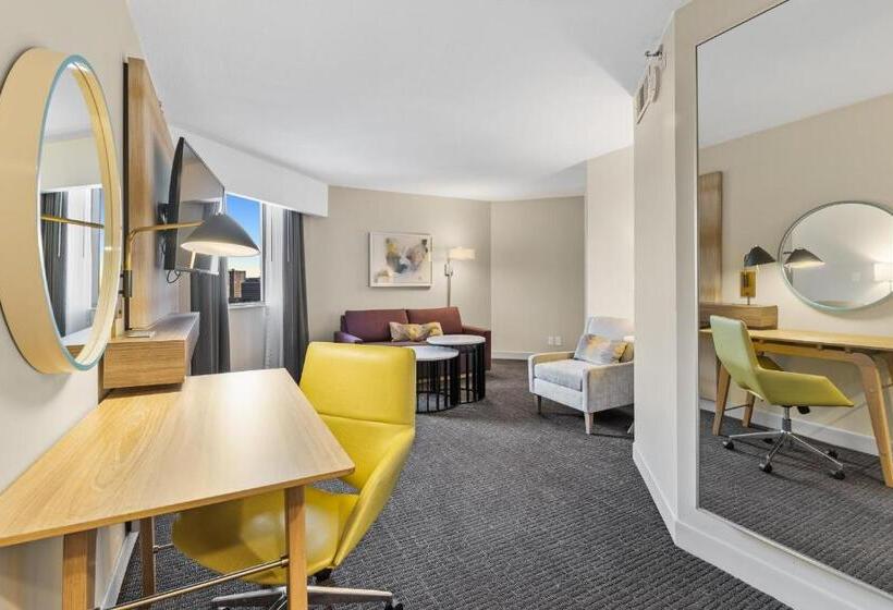 デラックススイート, Crowne Plaza Houston Med Ctr Galleria Area, An Ihg