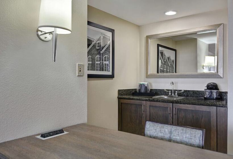 Люкс, Embassy Suites Hotel Winston Salem