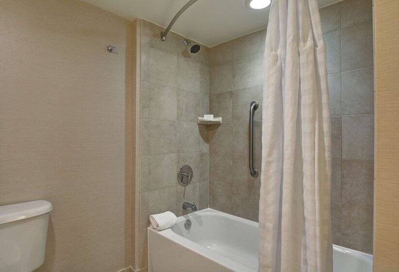 Люкс Премиум, Embassy Suites Hotel Winston Salem