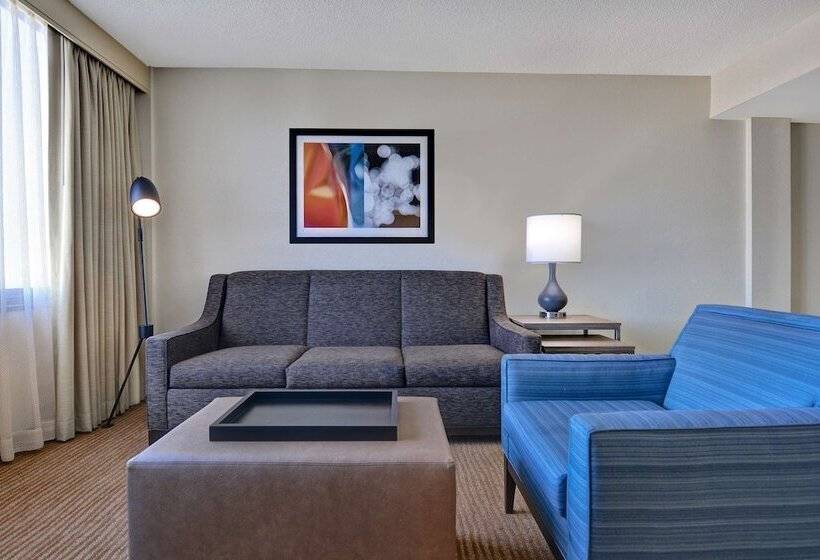 Люкс Премиум, Embassy Suites Hotel Winston Salem