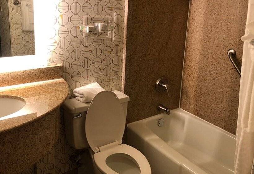 Номер Стандарт, Holiday Inn Asheville East Blue Ridge Pkwy, An Ihg