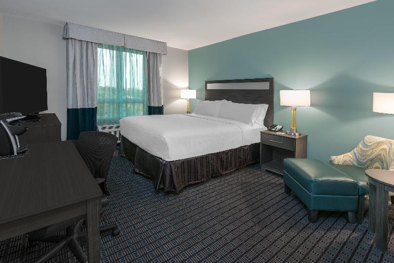 장애인을 위한 킹사이즈 침대 스탠다드 룸, Holiday Inn   Beaumont East Medical Ctr Area, An Ihg