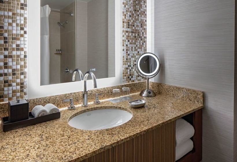 스탠다드 스튜디오, Hyatt Regency Denver Tech Center