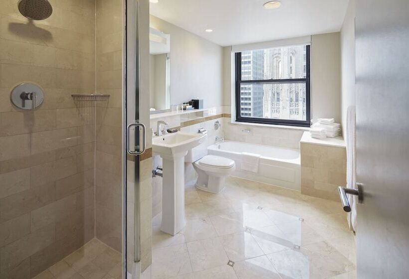 Номер Премиум Вид на Город, Intercontinental Chicago Magnificent Mile, An Ihg