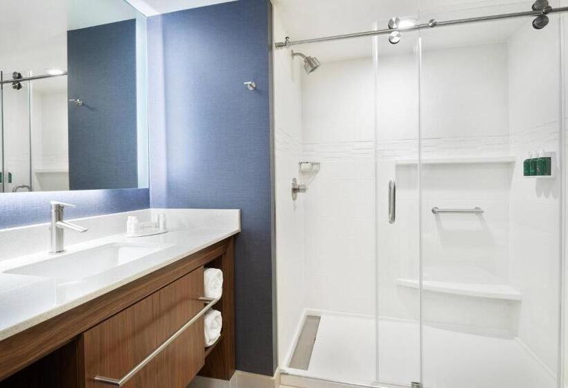 Люкс, Residence Inn By Marriott Buffalo Downtown