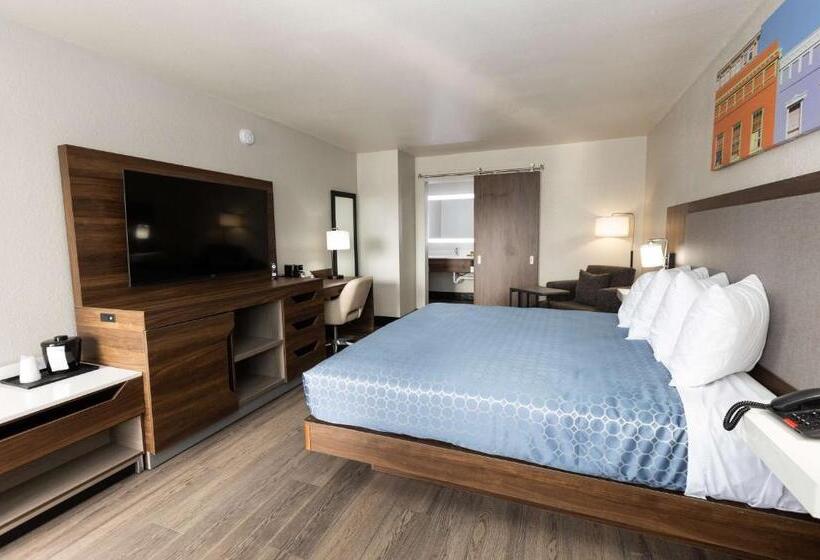 带大床的标准间, Bhagat Hotels Stone Mountain Atlanta Bw Signature Collection