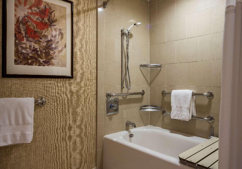 Quarto Estandar para Deficientes Físicos, Hilton Anatole