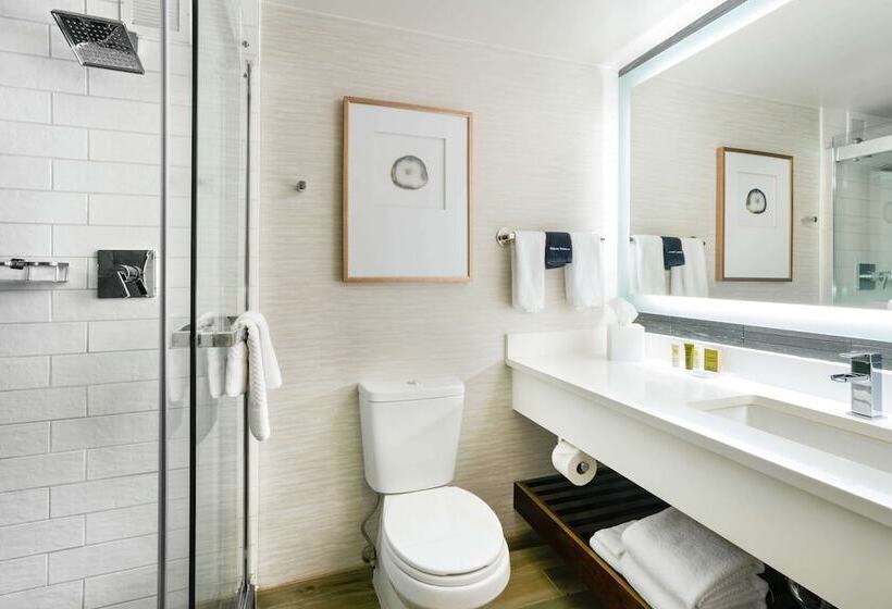 חדר סטנדרט שתי מיטות זוגיות, Hilton Denver City Center