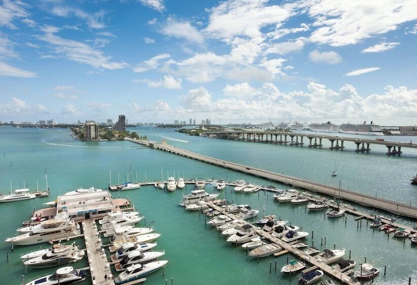 带2个双人床的标准工作室, Miami Marriott Biscayne Bay
