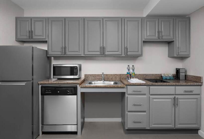 장애인을 위한 스위트, Residence Inn White Plains Westchester County