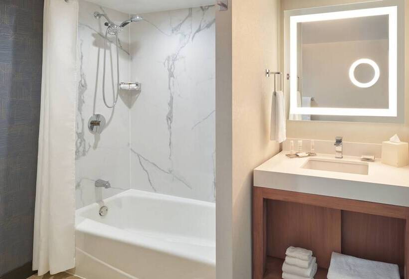 标准间带双人床, San Diego Marriott Mission Valley