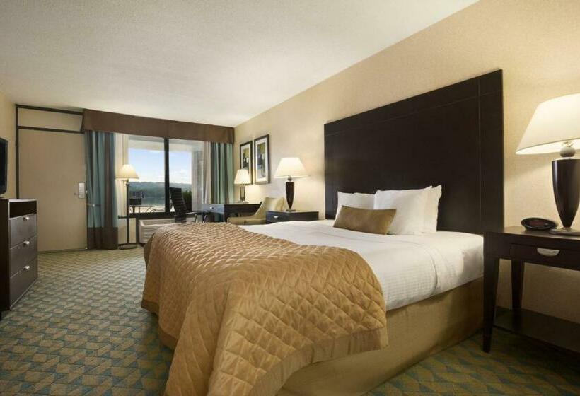 디럭스 룸 킹사이즈 침대, Wyndham Garden Lake Guntersville