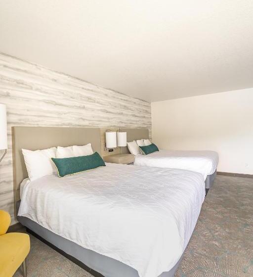 豪华房间, Jot's Resort