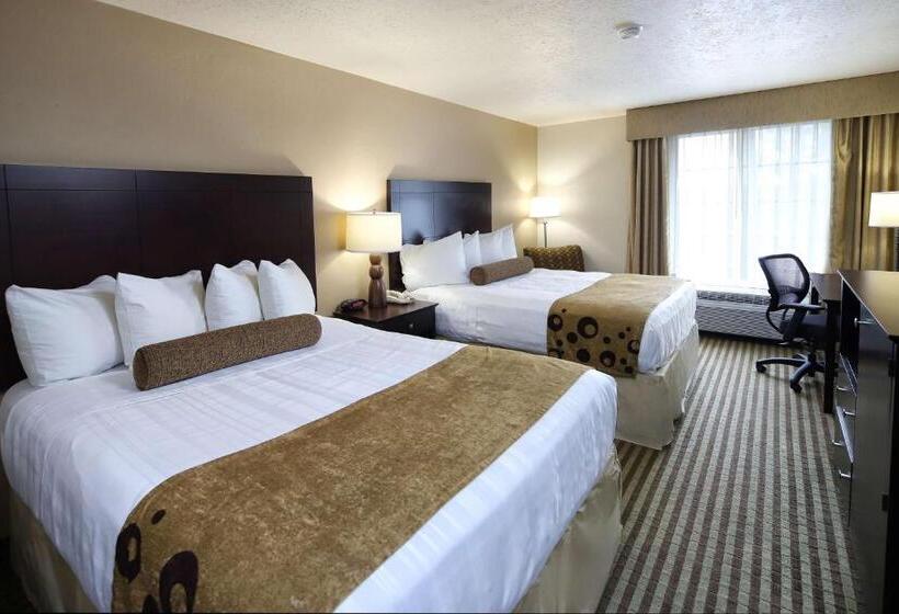 Номер Стандарт, Wyndham Tucson Airport Hotel & Conference Center