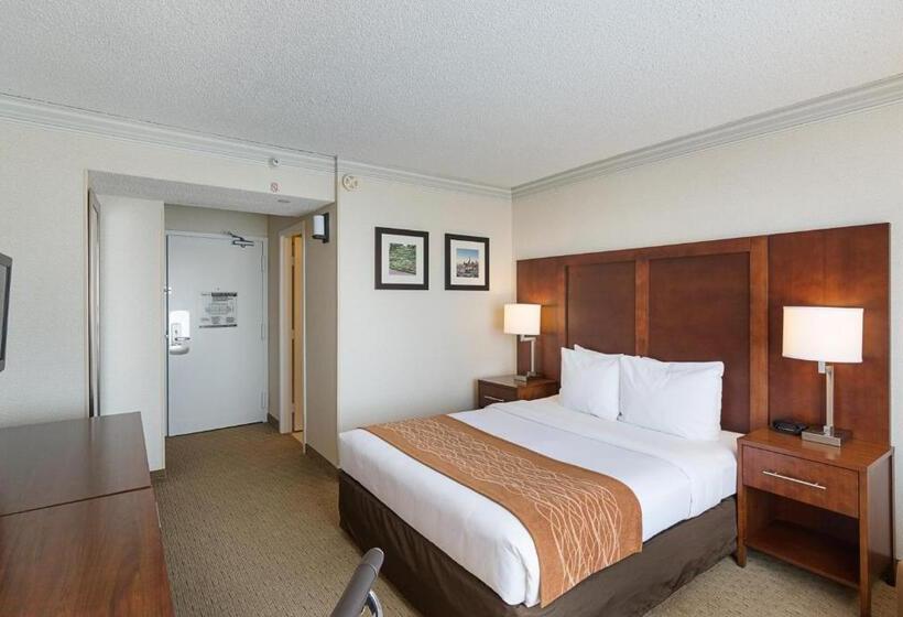 Habitació Estàndard, Comfort Inn By The Bay