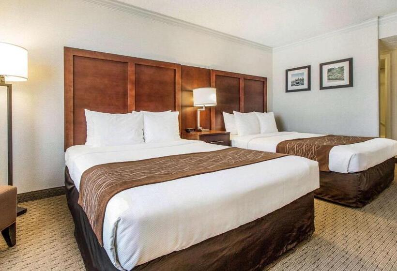 Habitació Estàndard amb Vistes, Comfort Inn By The Bay