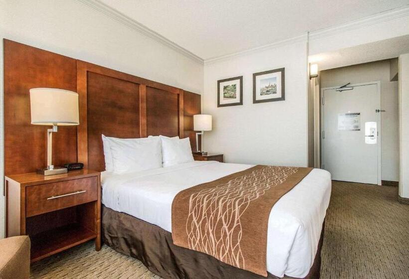 Habitació Estàndard Adaptada per a Discapacitats, Comfort Inn By The Bay