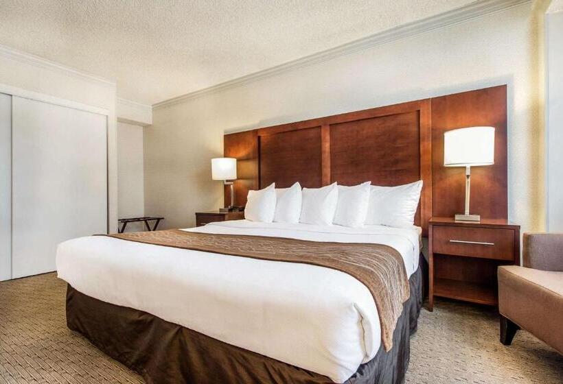 Suite Adaptada per a persones amb mobilitat reduïda, Comfort Inn By The Bay