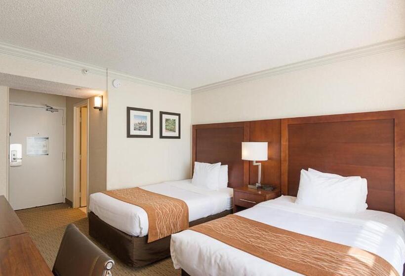 Habitació Estàndard, Comfort Inn By The Bay